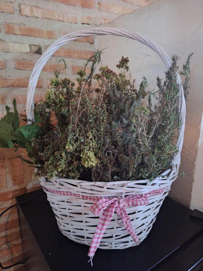 Hostal El Patio Restaurante San Bartolome de Pinares Bagian luar foto